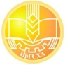 Мой Сайт
